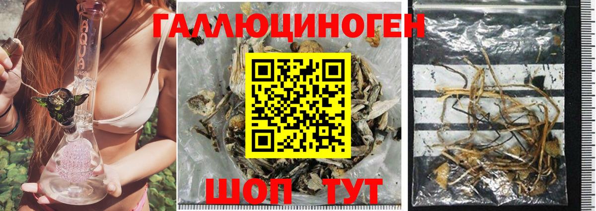 Псилоцибиновые грибы MAGIC MUSHROOMS Ступино