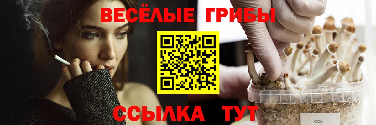 Ступино  Псилоцибиновые грибы мицелий  Вход с VPN 